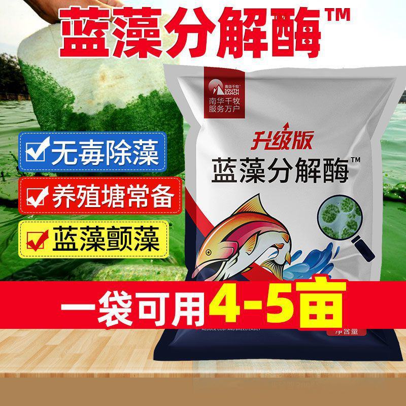 蓝藻分解素蓝藻速灭水产养殖小龙虾蟹鱼塘蓝藻分解酶除蓝藻毒