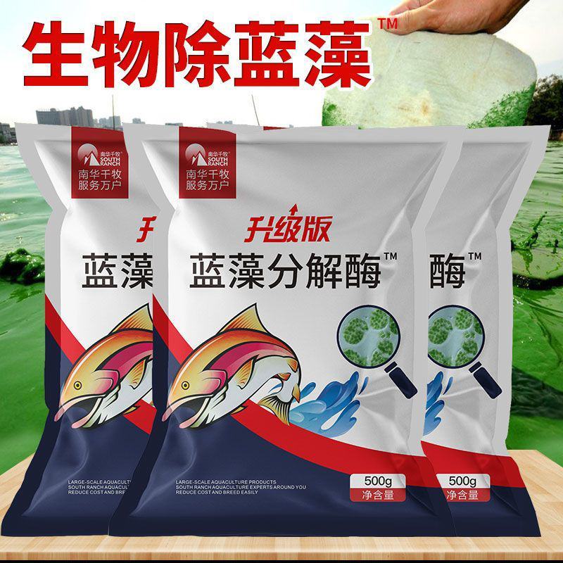 蓝藻分解素蓝藻速灭水产养殖小龙虾蟹鱼塘蓝藻分解酶除蓝藻毒