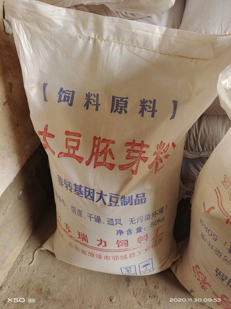 禽类饲料大豆胚芽粉，高脂肪，水分低，灰分在8个以内