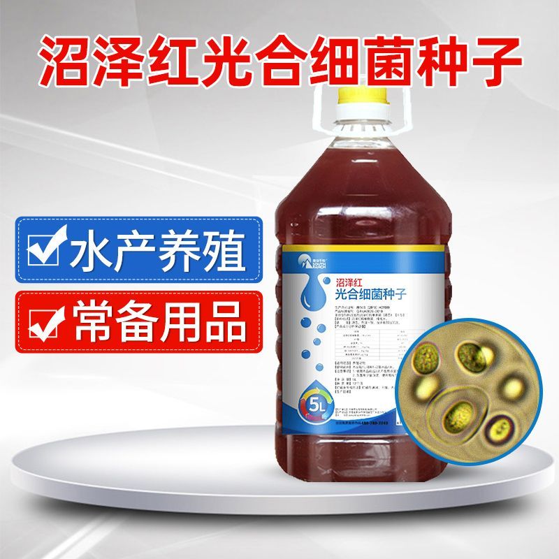 水产养殖光合细菌鱼塘虾蟹塘光合细菌培养基种子扩培繁降ph