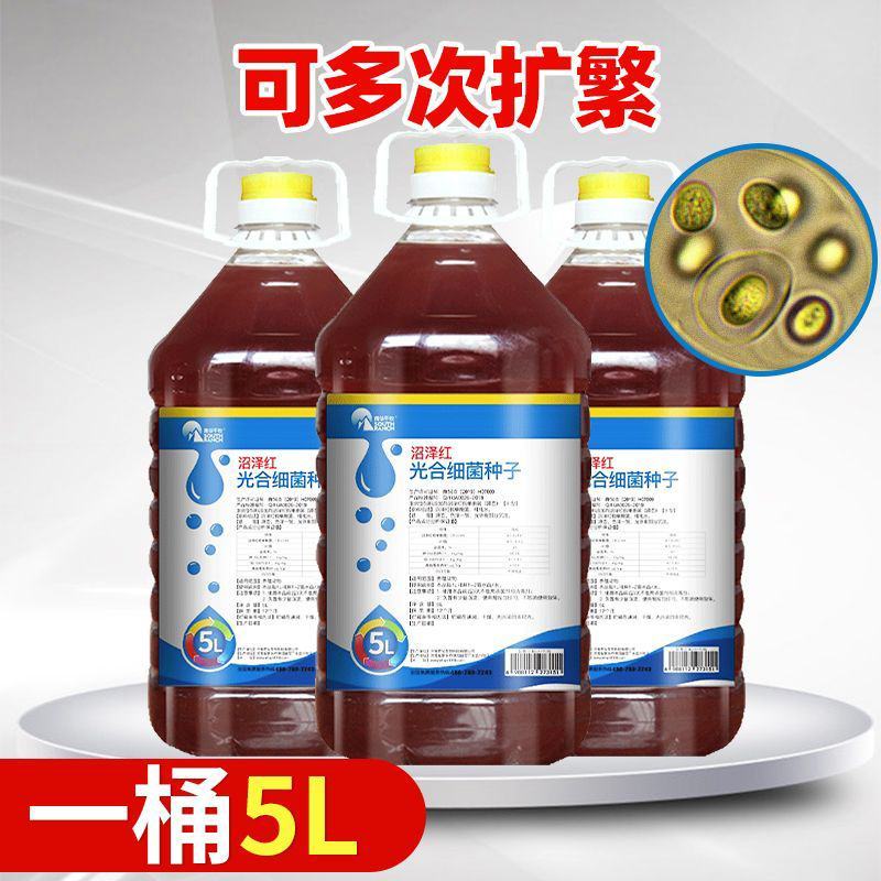 水产养殖光合细菌鱼塘虾蟹塘光合细菌培养基种子扩培繁降ph