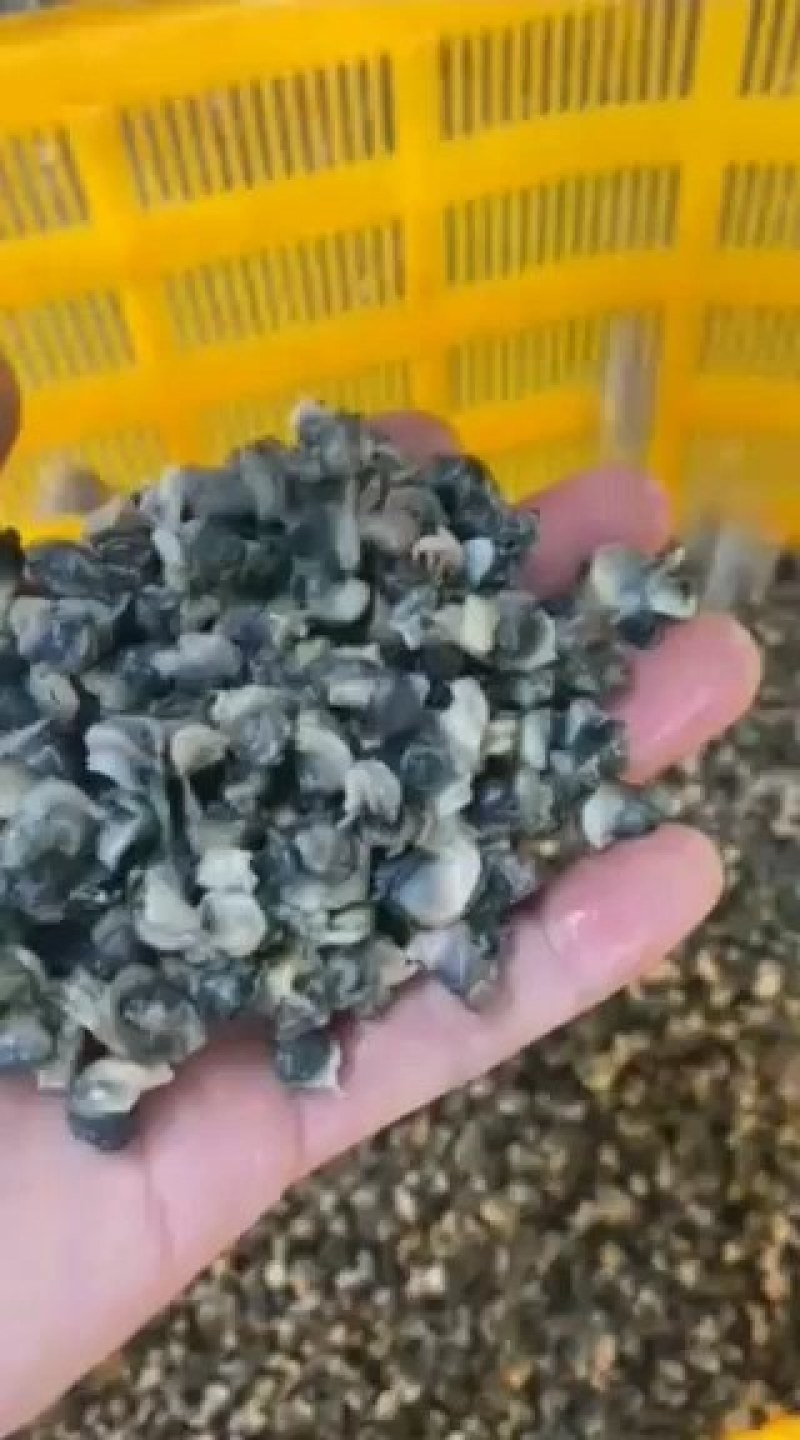 螺丝肉