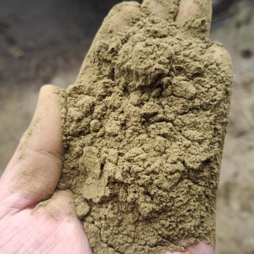 大量出售艾粉60目-100目出售艾渣