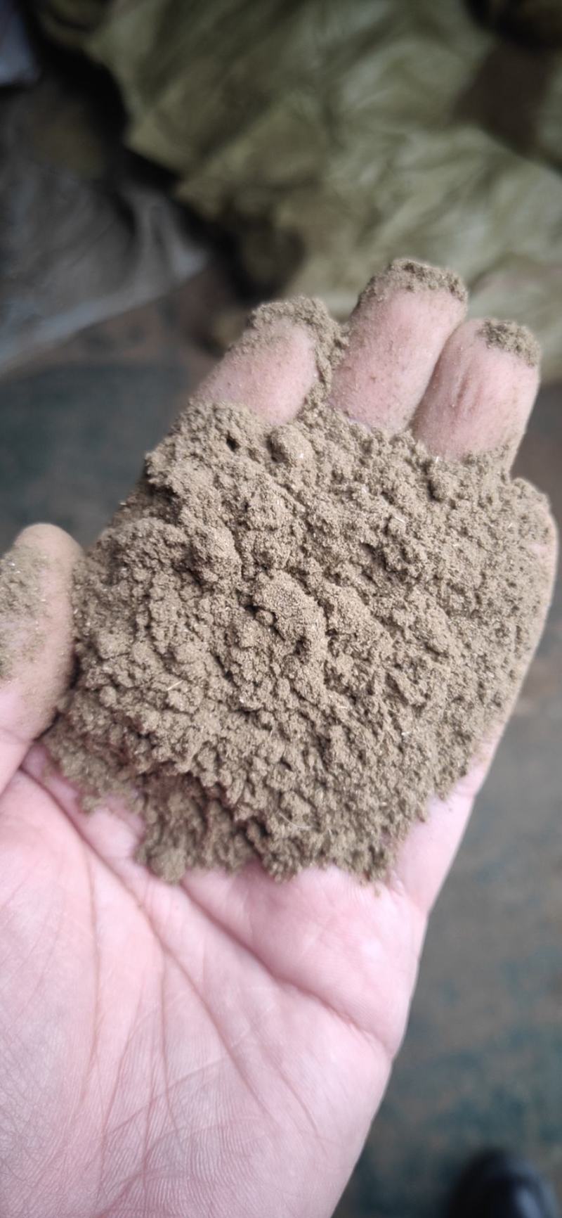 大量出售艾粉60目-100目出售艾渣