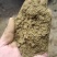 大量出售艾粉60目-100目出售艾渣