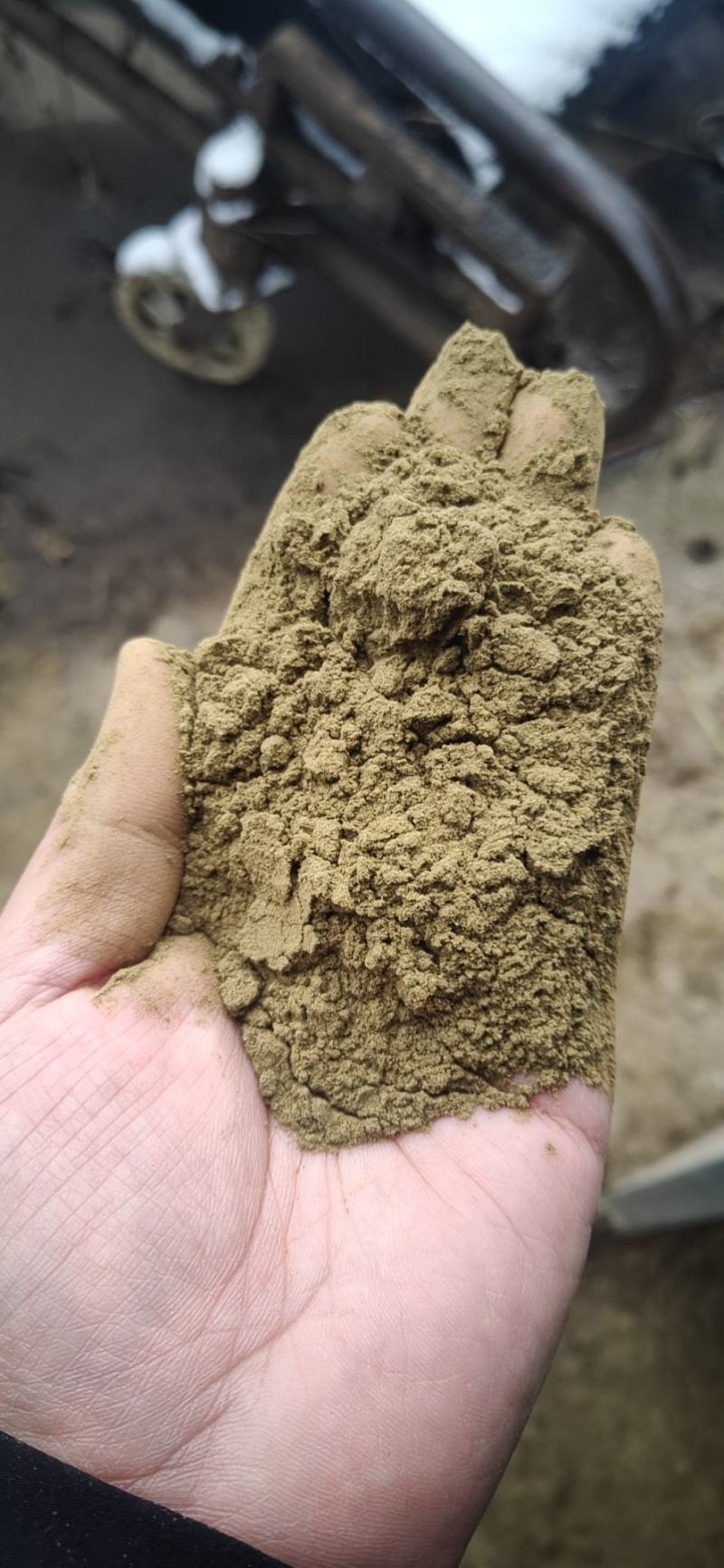 大量出售艾粉60目-100目出售艾渣