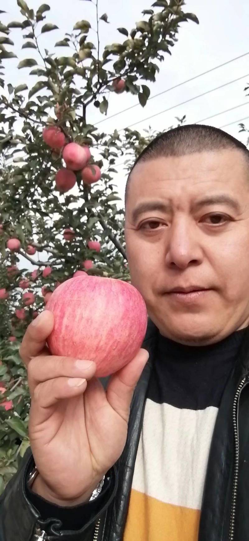 辽宁大连