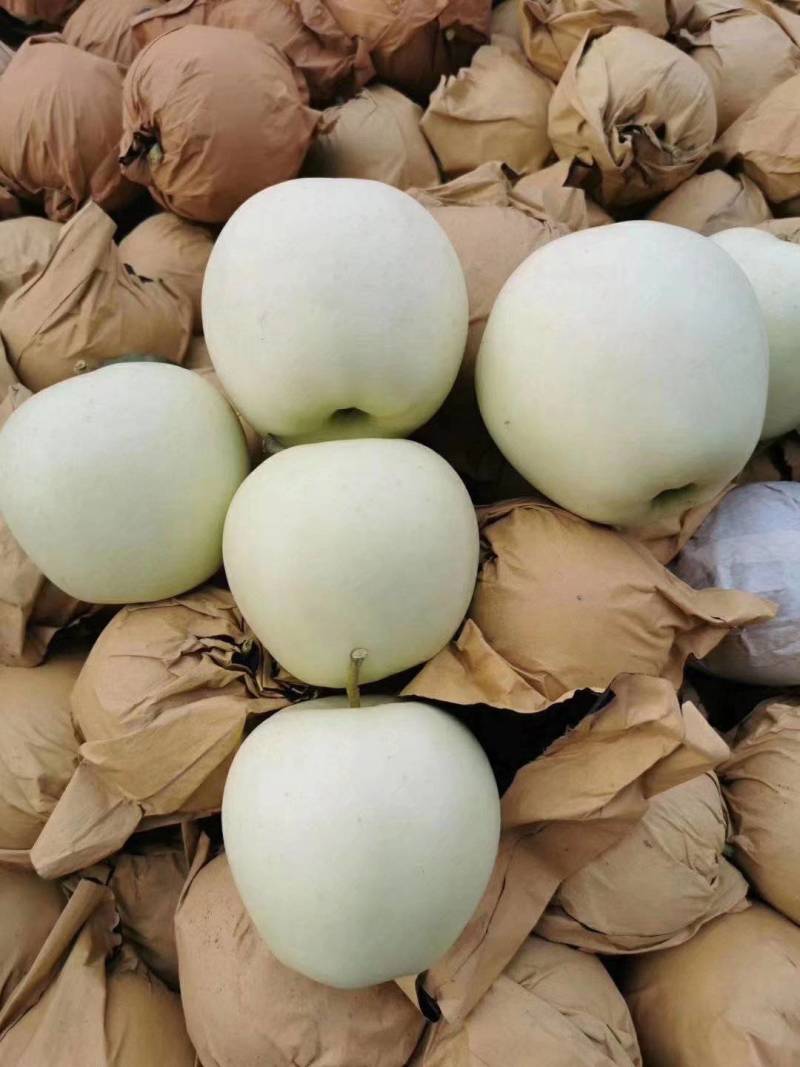 辽宁大连