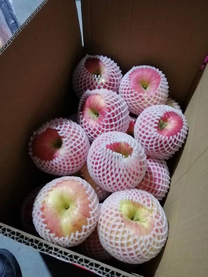 辽宁大连
