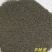 半枝莲种子药材种籽并头草韩信草赶山鞭牙刷草庭院阳台盆栽易