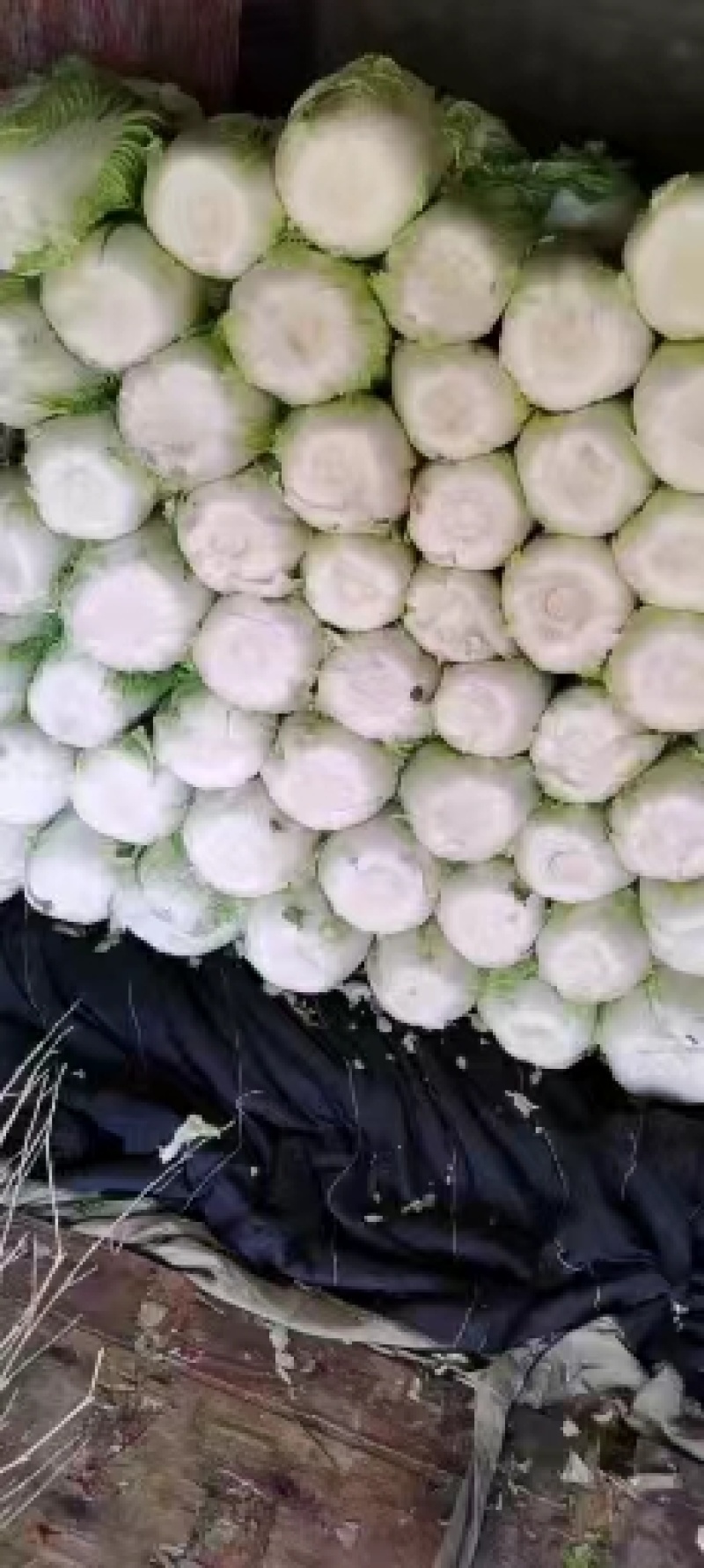 杠菜，玲珑黄各种白菜，价格实惠，产地直发，质量保证。