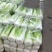 杠菜，玲珑黄各种白菜，价格实惠，产地直发，质量保证。
