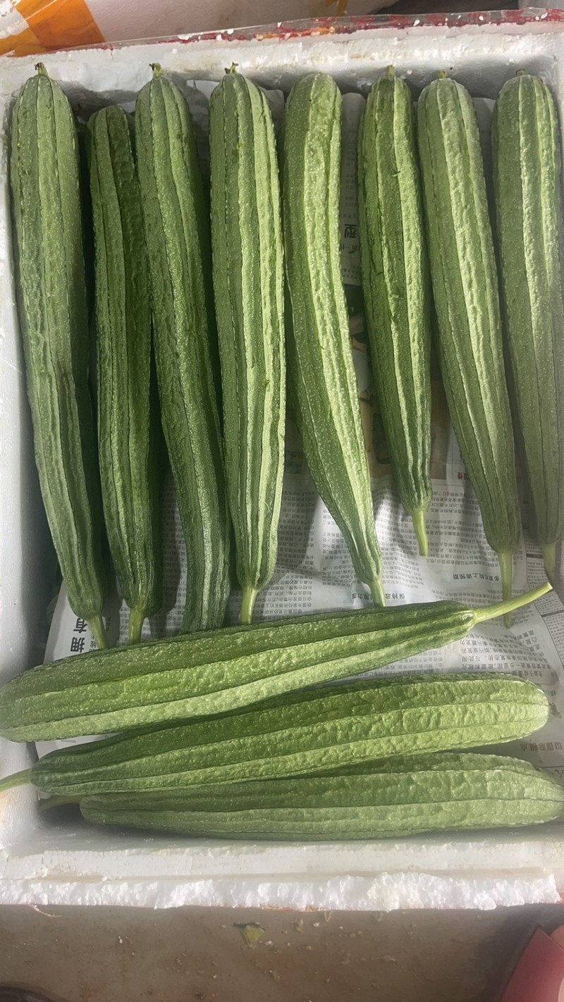 丝瓜，苦瓜茄子，豆角，黄瓜，青豆角，大量上市，货源充足