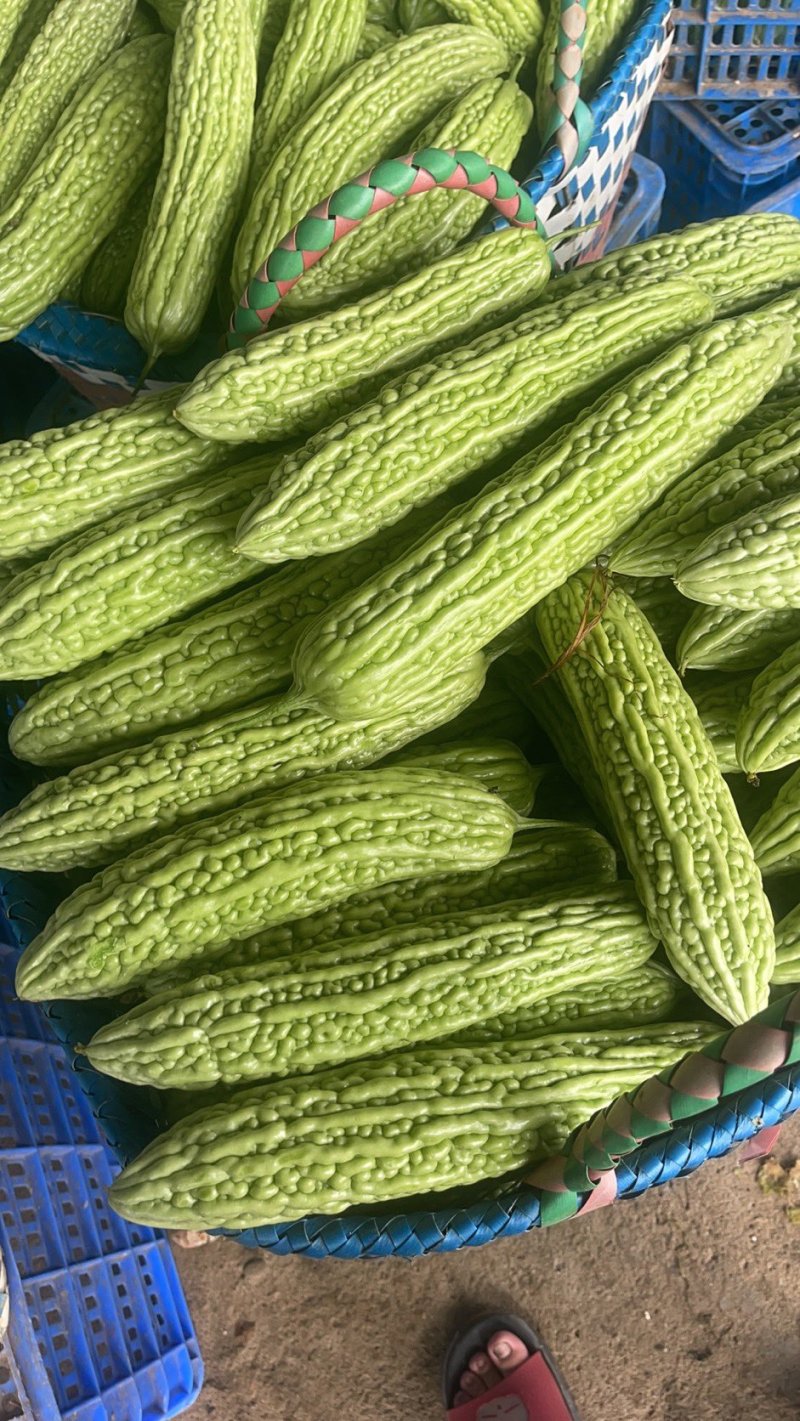 丝瓜，苦瓜茄子，豆角，黄瓜，青豆角，大量上市，货源充足