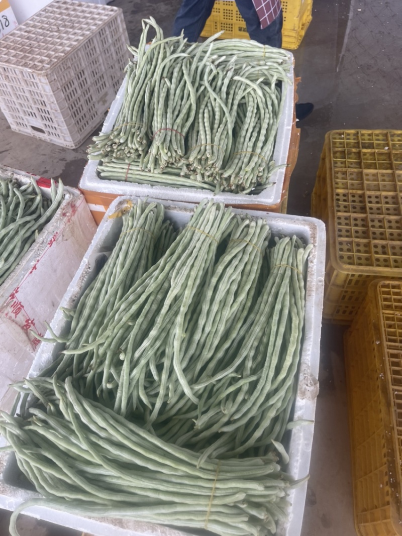 丝瓜，苦瓜茄子，豆角，黄瓜，青豆角，大量上市，货源充足