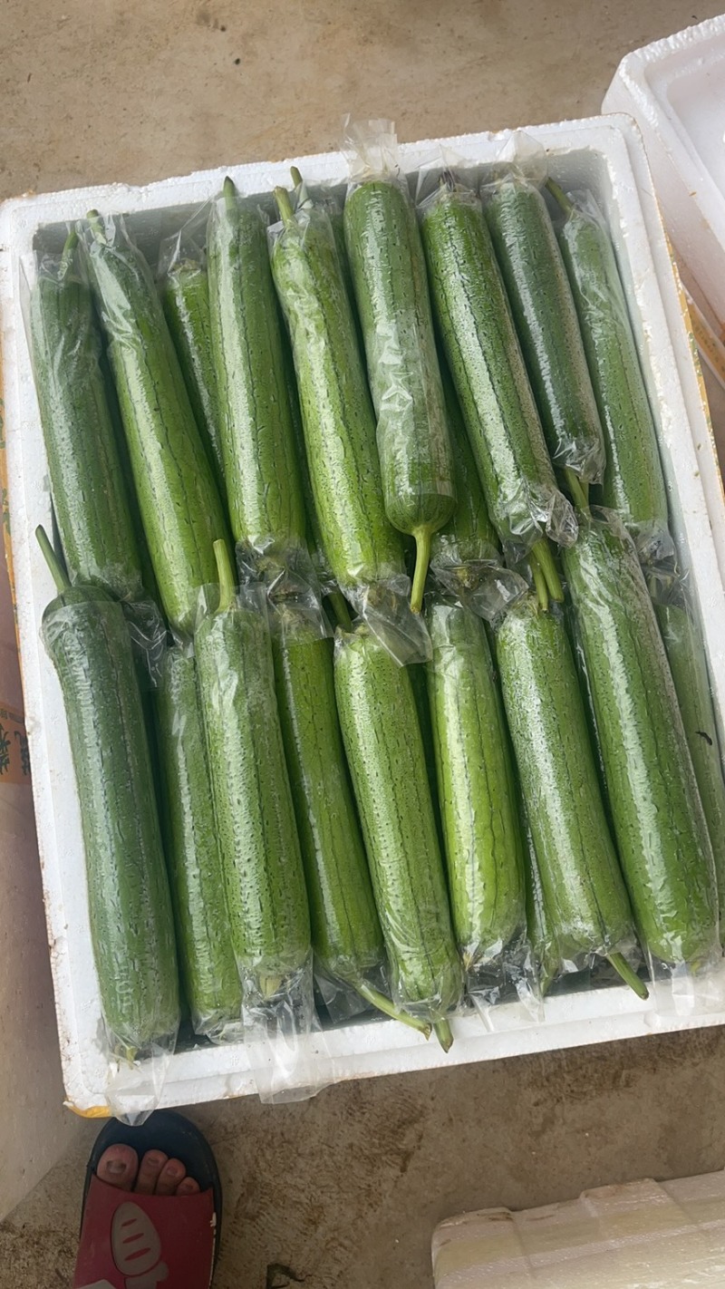 丝瓜，苦瓜茄子，豆角，黄瓜，青豆角，大量上市，货源充足