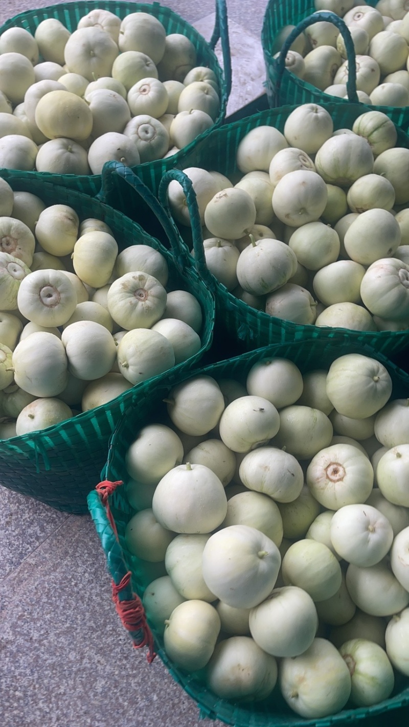 丝瓜，苦瓜茄子，豆角，黄瓜，青豆角，大量上市，货源充足