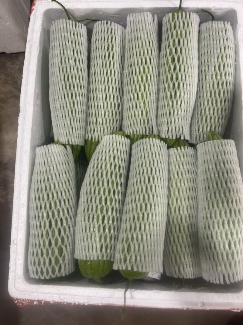 丝瓜，苦瓜茄子，豆角，黄瓜，青豆角，大量上市，货源充足