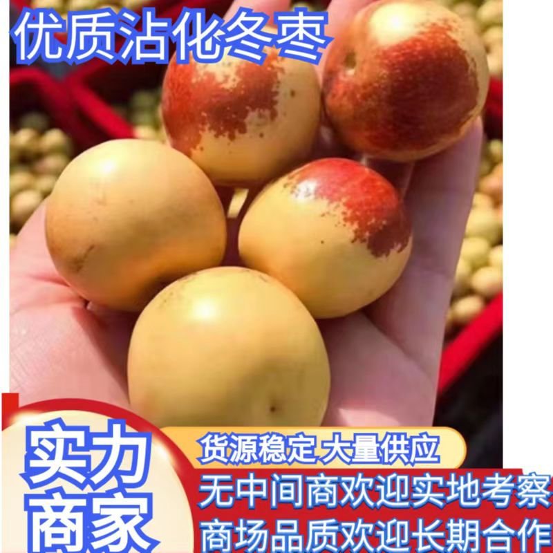 鲜枣山东沾化冬枣冬枣现摘先发，产地直发可供电商