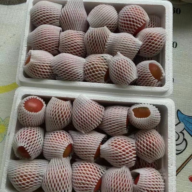 盘锦草莓西红柿，产地直供，饱满多汁，自然成熟，酸甜可口
