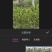 玉米青储要求自己收割价格再聊