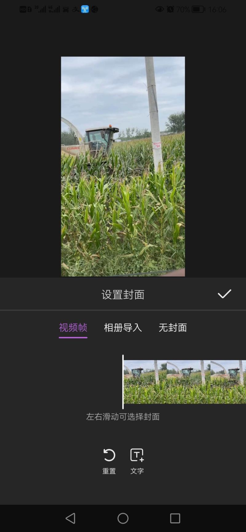 玉米青储要求自己收割价格再聊