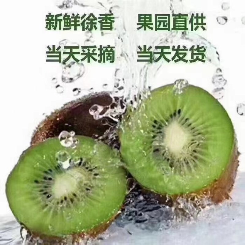 陕西省宝鸡市眉县猕猴桃