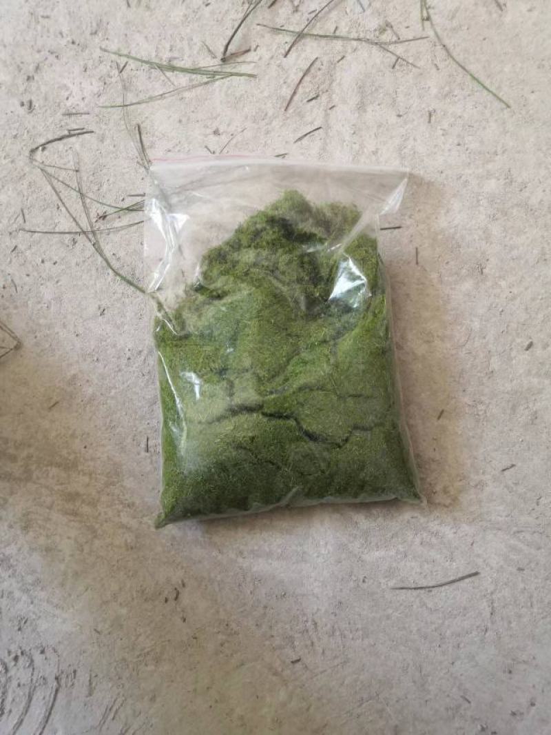 松针粉，动物饲料养殖饲料，产地发货，质量保证，欢迎进店