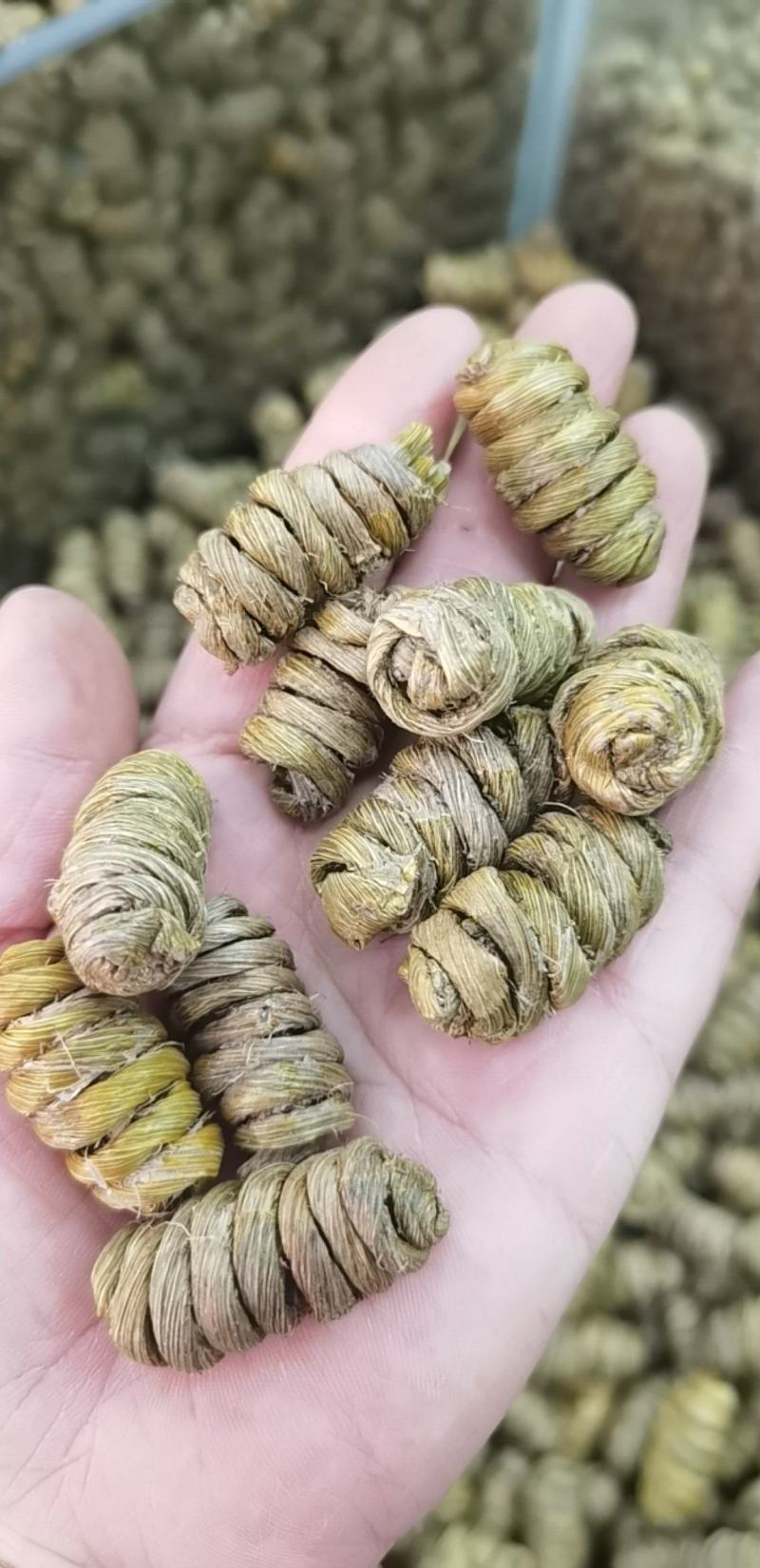铁皮石斛，形状好，各种规格，需要的顾客请在一亩田联系我