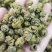 铁皮石斛，形状好，各种规格，需要的顾客请在一亩田联系我