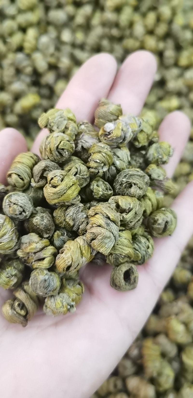 铁皮石斛，形状好，各种规格，需要的顾客请在一亩田联系我
