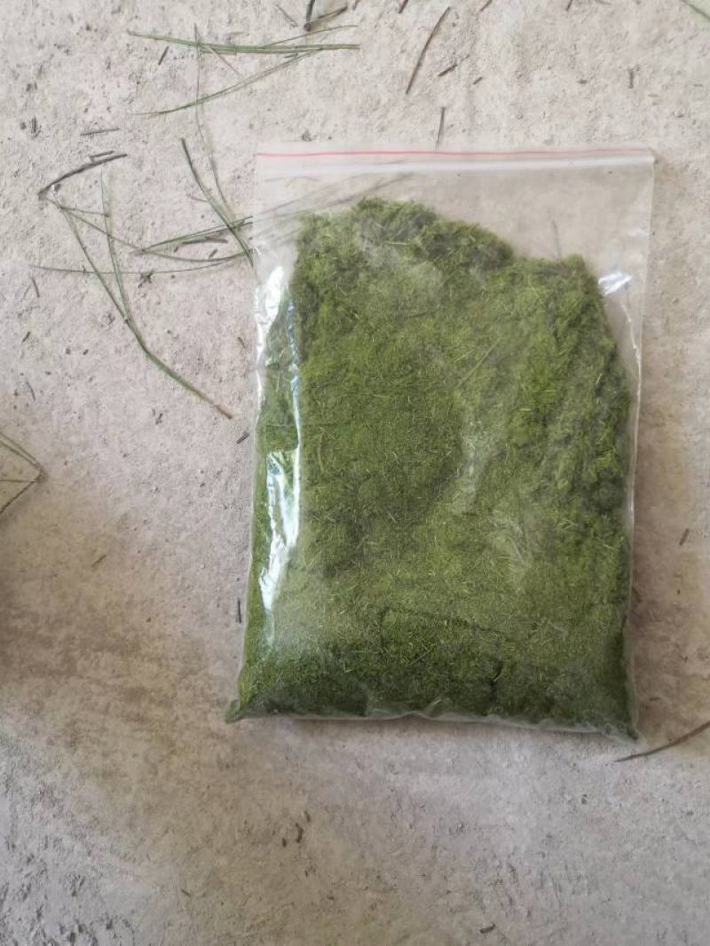 纯松针粉，动物饲料饲料添加厂家发货一手货源对接大型批发商