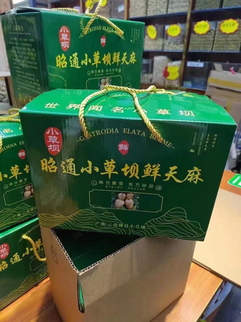 正宗小草坝鲜天麻