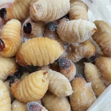 竹虫