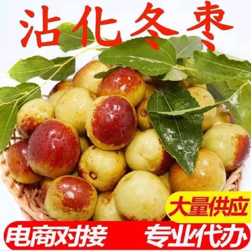 冬枣山东鲜枣口感脆甜低价上市基地现摘电商可代发