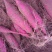 商薯19量大质优，条行好，颜色亮，口感香甜。