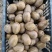 精品徐香猕猴桃，100克到130占70%