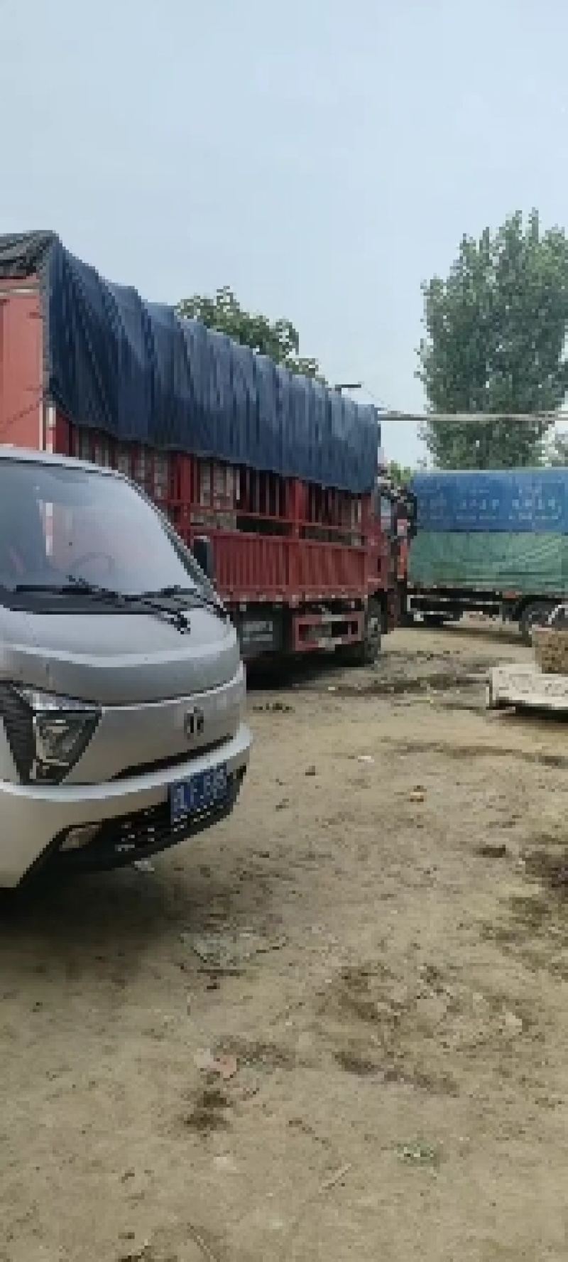 北海道苹果大量上市中，有想法的老板们抓紧时间联系我。