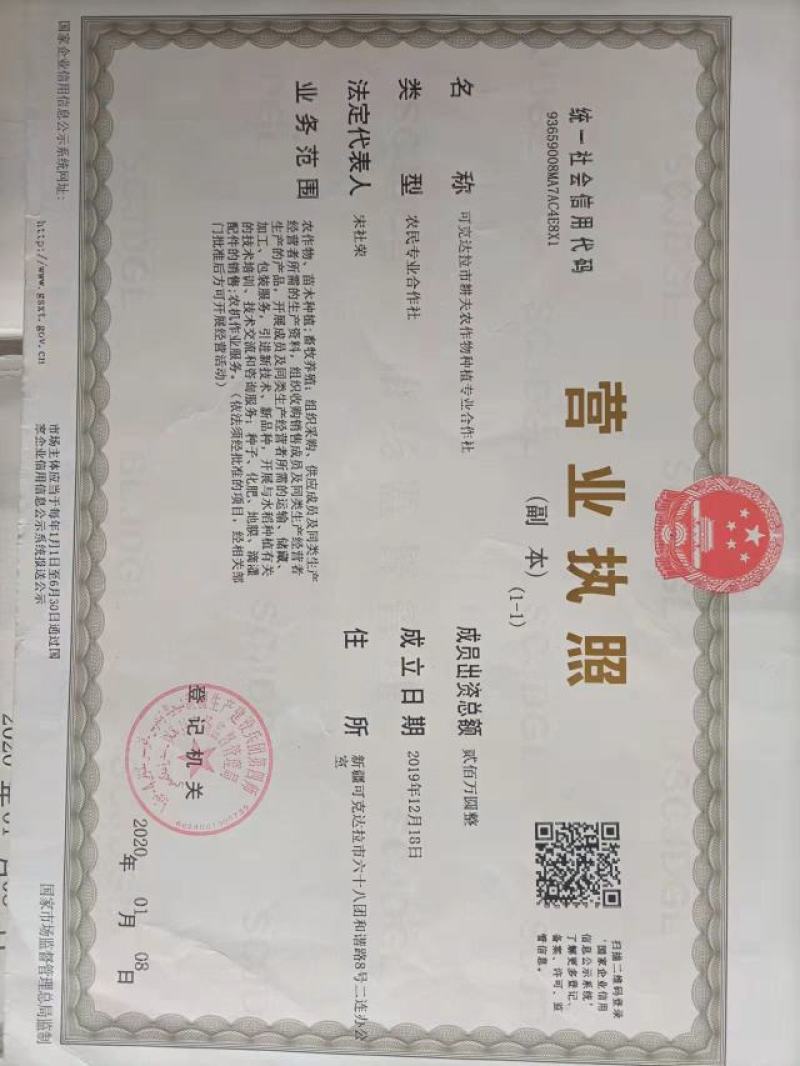 【精品大米】伊犁河谷富硒大米稻蟹共作盐碱地种植