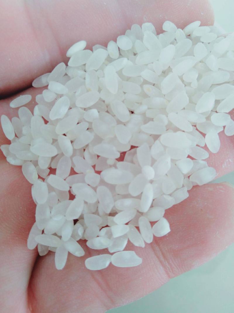 【精品大米】伊犁河谷富硒大米稻蟹共作盐碱地种植