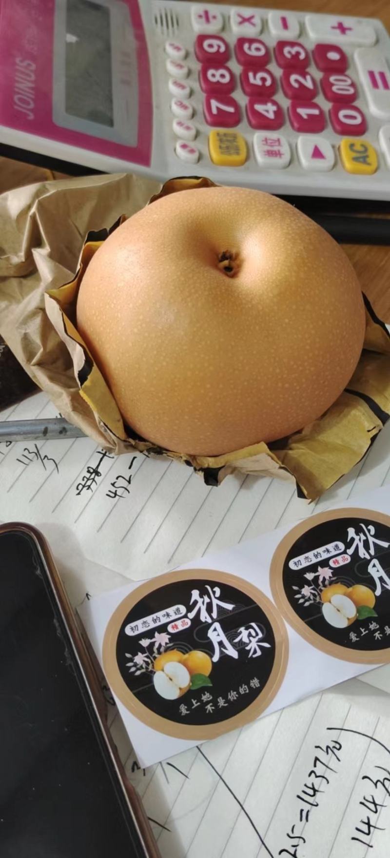 金果梨，秋月梨，晚秋黄梨，黄金梨已上市