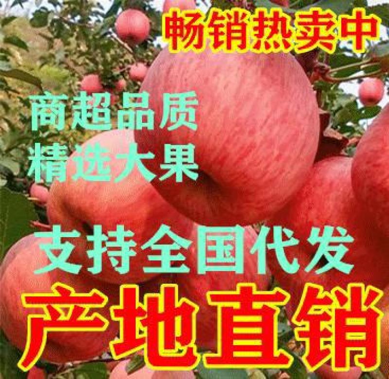 大凉山盐源县丑苹果脆甜多汁欢迎大家来电咨询