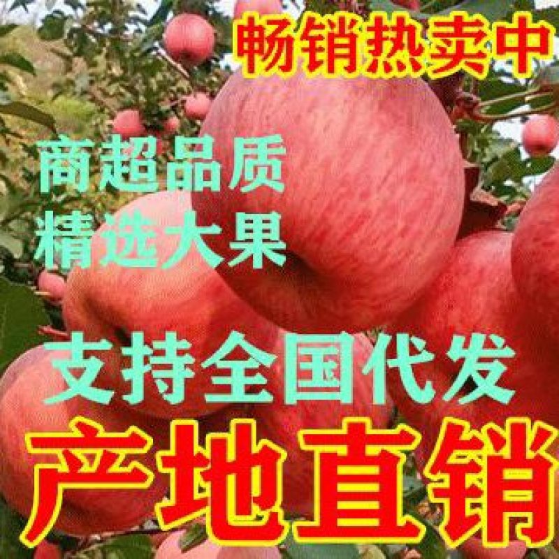 大凉山盐源县丑苹果脆甜多汁欢迎大家来电咨询