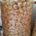 林下仿野生猴头菇，自然环境生长，个个饱满欢迎订购