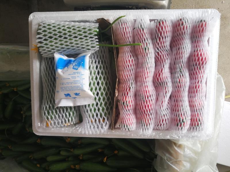 [一件代发]精品圣女果小黄瓜组合脆爽多汁天然现摘基地现发