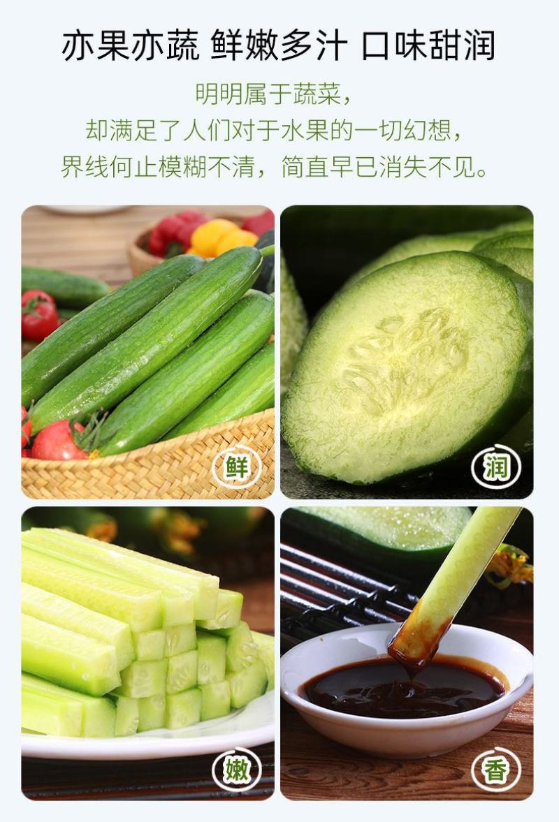 [一件代发]精品圣女果小黄瓜组合脆爽多汁天然现摘基地现发