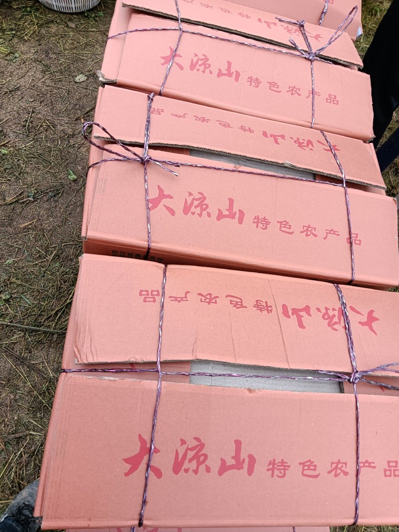 四川凉山盐源县丑苹果。红将军现在大量上市。