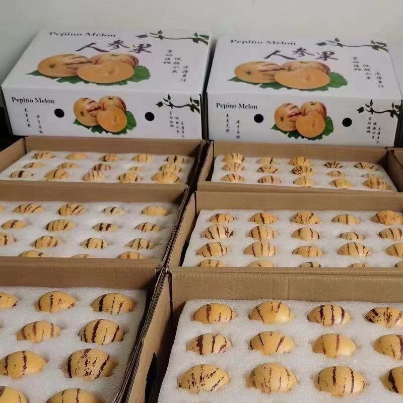 云南石林人参果