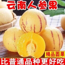 云南石林人参果