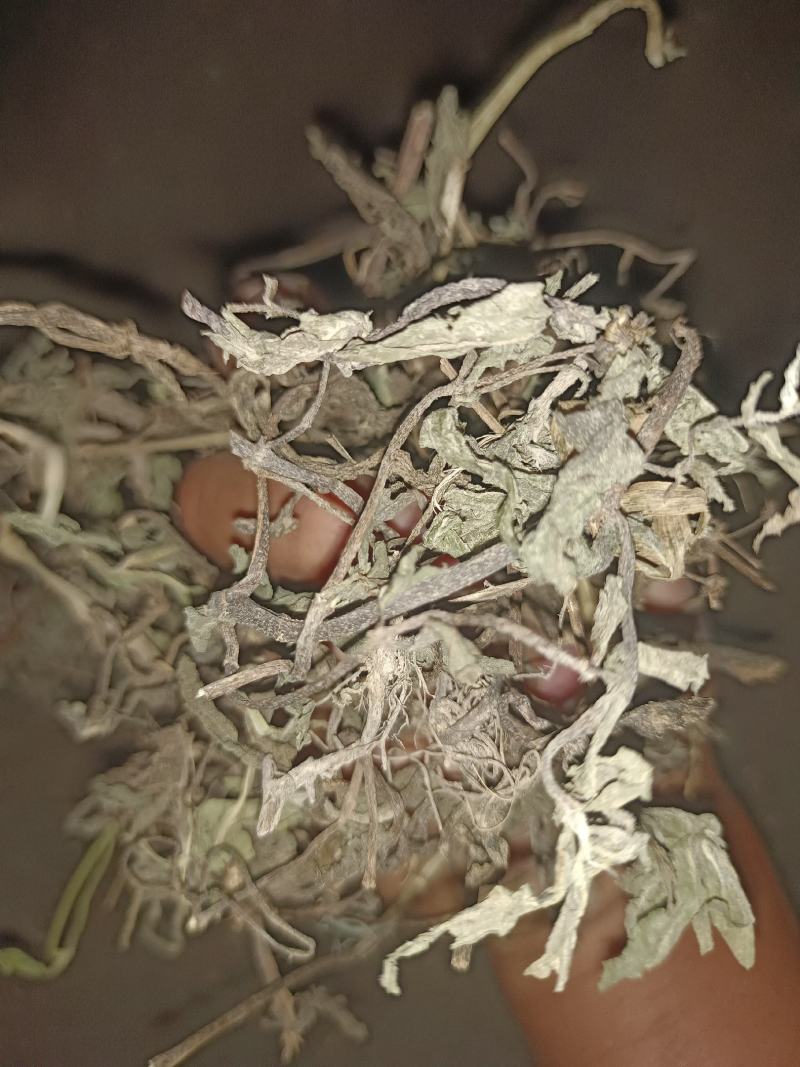 墨旱莲